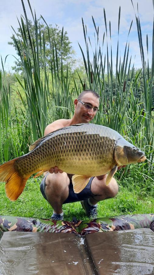 Lonny Les Etangs Du Moulin D'Harcy B&B 외부 사진